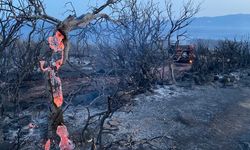 Ayvacık'taki orman yangını az önce kontrol altına alındı
