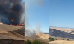 Diyarbakır’da bin dönümlük arazi cayır cayır yandı