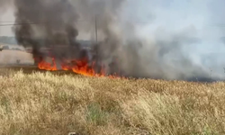 Çanakkale'de tarım alanında başlayan yangın ormanlık alana hızla ilerliyor