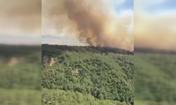Tarım ve Orman Bakanı Yumaklı: "Orman yangınlarıyla mücadelemiz sürüyor"