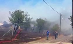 Yunanistan’da orman yangını çıktı