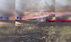 Çöpten çıkan yangın 300 dönümlük ekili araziyi kül etti