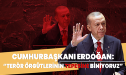 Cumhurbaşkanı Erdoğan: "Terör örgütlerinin tepesine biniyoruz"