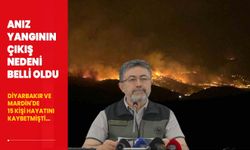 Diyarbakır - Mardin'de 15 kişinin ölümüne neden olan anız yangının çıkış nedeni belli oldu