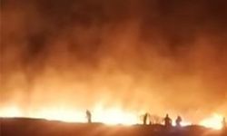 Tunceli'de korkutan yangın! 100 dönümlük ekili alan zarar gördü