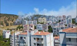 İzmir'in üç ilçesinde orman yangını! Yerleşim yeri tehlike altında
