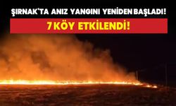 Şırnak'ta anız yangını yeniden başladı: 7 köy etkilendi!