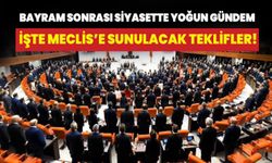 Bayram sonrası siyasette yoğun gündem: İşte Meclis'e sunulacak teklifler!