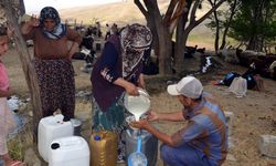 Muş'ta göçerlerin yayla mesaisi devam ediyor