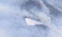 Bodrum'da orman yangını çıktı, müdahale devam ediyor