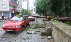 Ordu'da sağanak hayatı felç etti