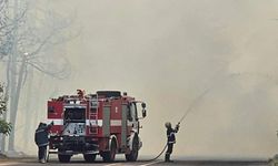 Türkiye'den, Bulgaristan'daki yangın söndürme çalışmalarına destek