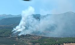 Sondaj aracında başlayan yangın ormana sıçradı