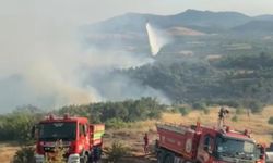 Kırkağaç'taki orman yangını kontrol altına alındı