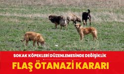 Sokak köpekleri düzenlemesiyle ilgili flaş ötanazi kararı