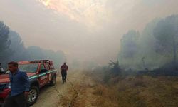 Çanakkale’deki orman yangını kontrol altında