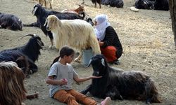 Muşlu kadınların yayla mesaisi