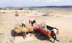 Yozgat’ta sıcak havada çiftçilerin zorlu mesaisi sürüyor
