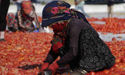 Diyarbakır’da kavurucu sıcakta kurutmalık domates mesaisi
