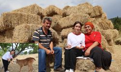 Sürülerin peşinde ders çalıştı! Çoban Zeynep LGS'de büyük başarısı