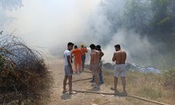 Antalya'da mezarlık yangını ormana sıçradı! Mahalleli alarma geçti!