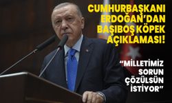 Cumhurbaşkanı Erdoğan: Milletimiz köpek sorunu çözülsün istiyor
