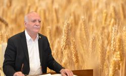 "Arpa ve buğday fiyatı revize edilmeli" çağrısı
