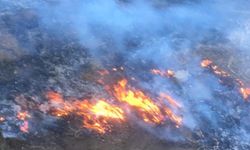 Gaziantep'te orman yangını çıktı