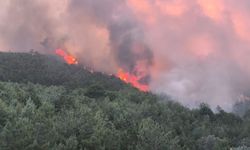 Uşak’ta ormanlık alandaki yangın devam ediyor