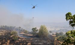 Aydın'da çıkan yangın üniversite kampüs alanına doğru hızla ilerliyor