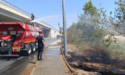 Yol kenarına atılan sigara izmariti nedeniyle yangın çıktı