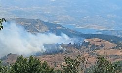 Kahramanmaraş’ta orman yangını çıktı