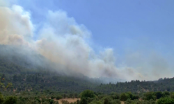 Bodrum'daki orman yangınına müdahale ediliyor