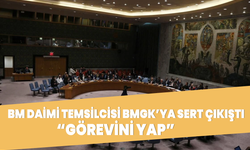 Türkiye BM daimi temsilcisinden BMGK'ya 'görevini yap' çıkışı