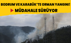 Bodrum ve Karabük'te orman yangını! Müdahale sürüyor