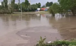 Kars'ta sel: Meyve bahçelerinde hasar oluştu