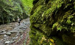 Cevizdibi Kanyonu turizm rotalarından biri olma yolunda