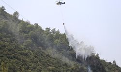 Fethiye'de çıkan orman yangını söndürüldü