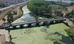 Tunca Nehri'nin bazı bölümlerinde kuraklık baş gösteriyor