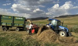 Ağrı'da hayvanların kışlık yem ihtiyacı için mesai başladı