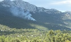 Antalya'da orman yangını!