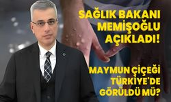 Sağlık Bakanı Memişoğlu Tv'de konuştu: Maymun çiçeği Türkiye'de görüldü mü?