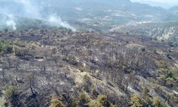 Bolu'da orman yangınında zarar gören alanlar havadan görüntülendi