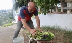 Bahçesinde yetiştirdiği ürünlerin üzerine bakın ne yazdı?