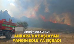 Ankara'da başlayan yangın Bolu'ya sıçradı