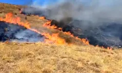 Çorum'da korkutan yangın ormanlara sıçramadan söndürüldü