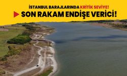 Son rakam endişe verici! İstanbul barajlarında kritik seviye