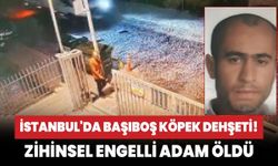 İstanbul'da başıboş köpek dehşeti! Zihinsel engelli adam hayatını kaybetti