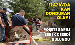 Elazığ'da dehşete düşüren olay! Poşete sarılı bebek cesedi bulundu