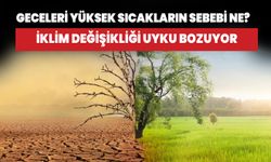 İklim değişikliği yüksek gece sıcaklıklarına neden oluyor